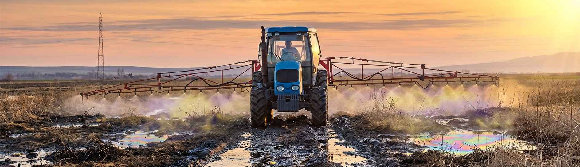 Bioremediation microbes applied