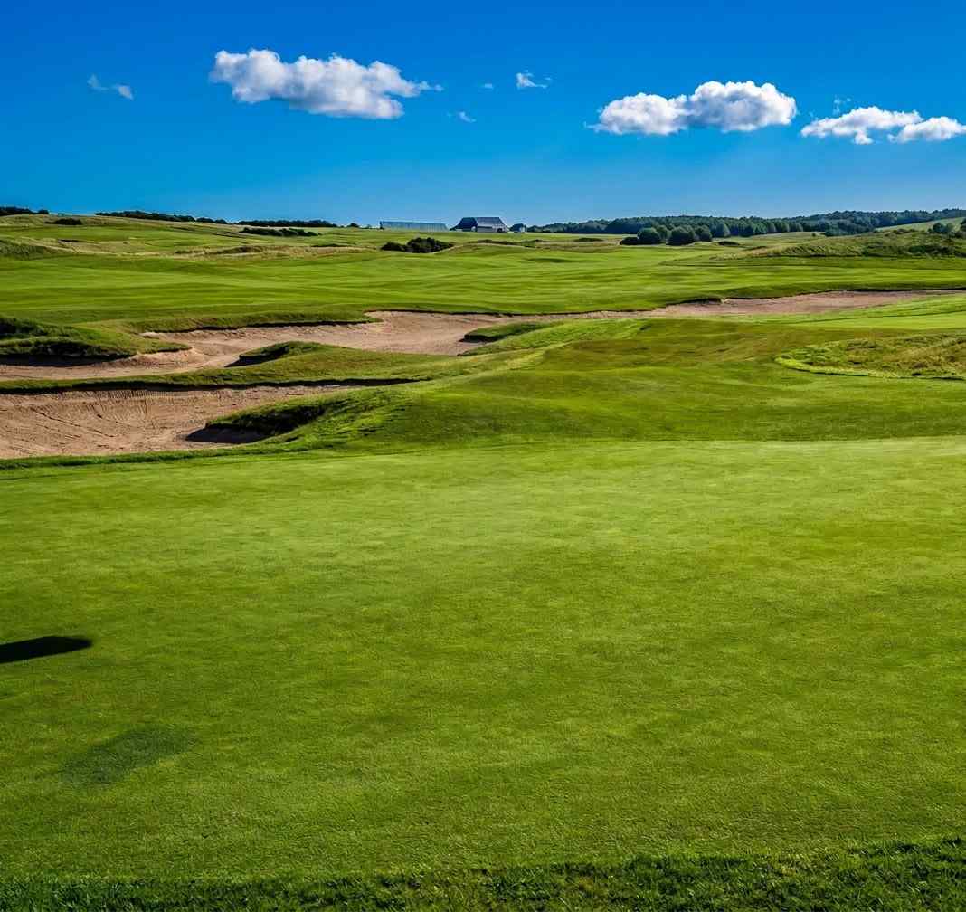 Links long shot